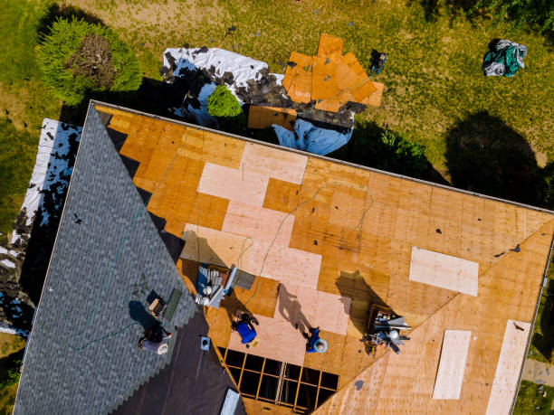 Best Emergency Roof Repair  in Webster, FL
