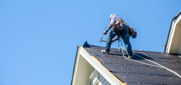 Quick and Trustworthy Emergency Roof Repair Services in Webster, FL
